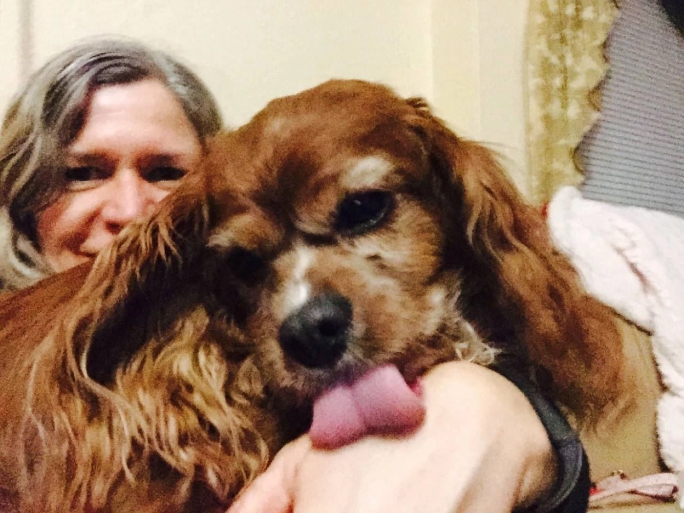 A selfie of Lani with Sparky cuddled up in her arm, tongue out.